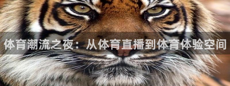 9球直播官网地址