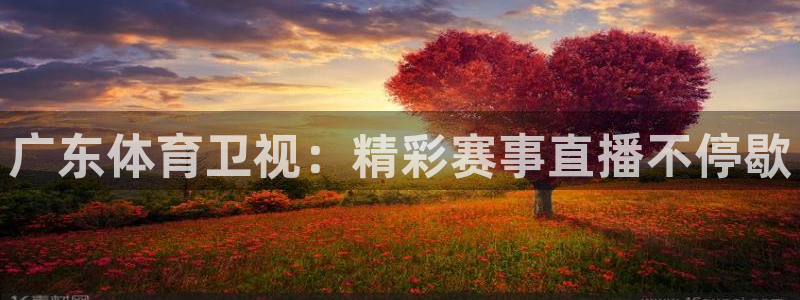 9球直播在线观看免费