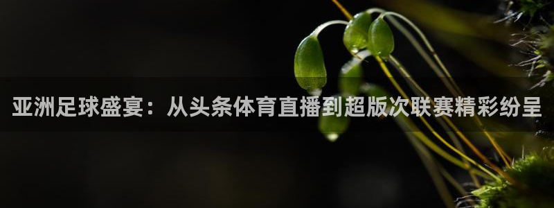 9球直播比赛苹果下载