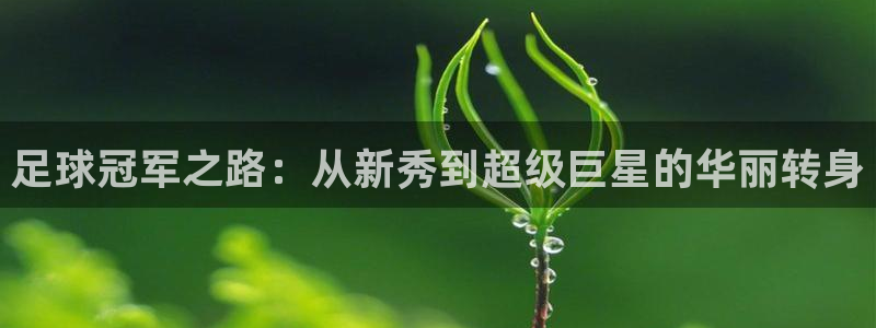 9球直播app下载苹果