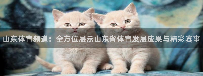 9球直播nba直播入口