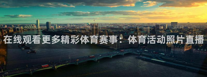 9球直播官网在线观看