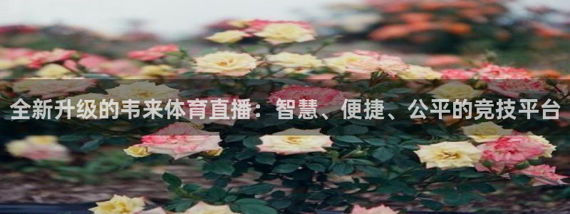 9球直播苹果版下载