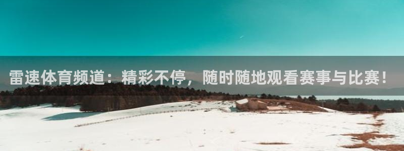 9球直播官网地址