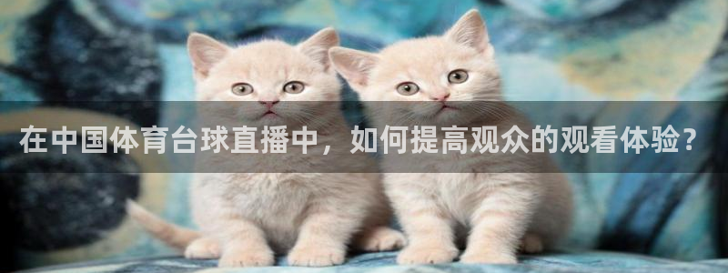 9球直播官网app下载