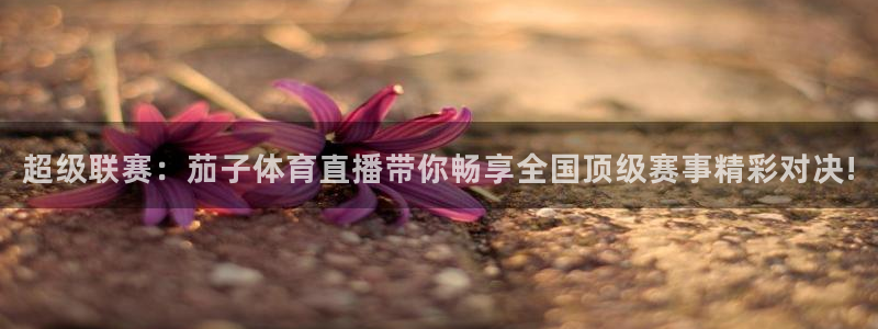 9球直播篮球直播