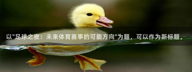 9球直播nba小仙