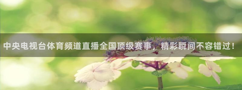 9球直播怎么看不了了