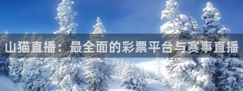9球直播足球