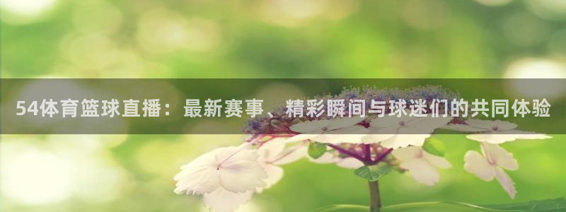 9球直播nba直播