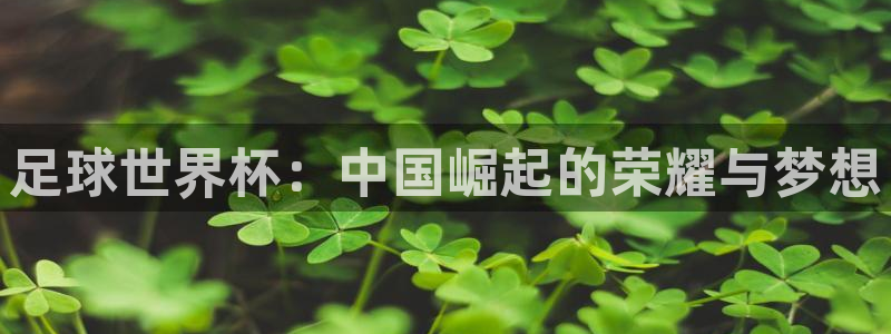 9球直播在线直播观看高清nba