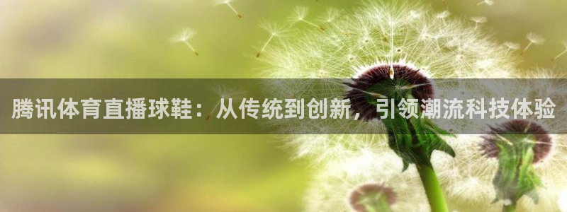 9球直播怎么看不了了