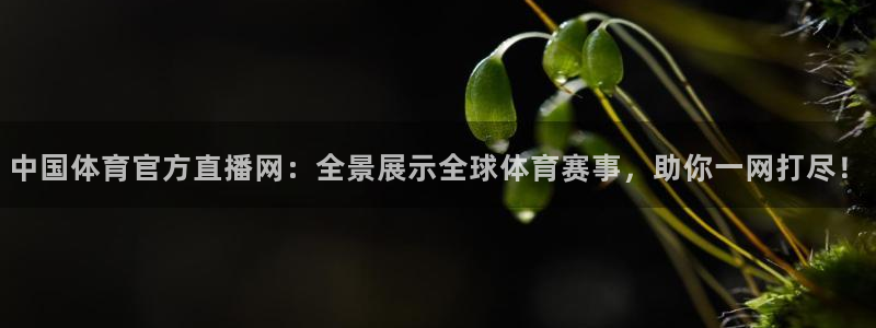 9球直播nba在线观看高清