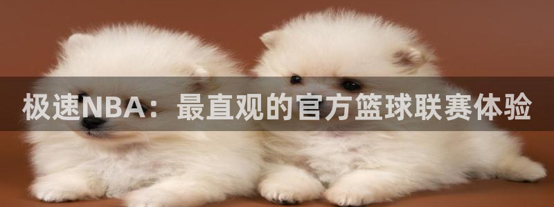 9球直播下载