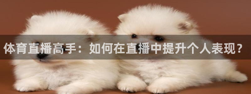 9球直播免费直播精彩足球